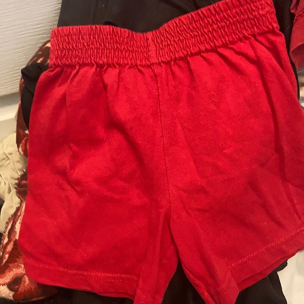 Garanimals shorts 18m